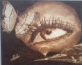 /album/galleria-fotografica/foto0239-jpg/